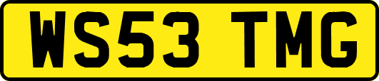 WS53TMG
