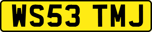 WS53TMJ