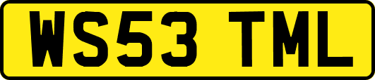WS53TML