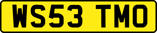 WS53TMO