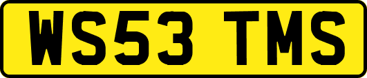 WS53TMS