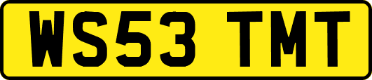 WS53TMT