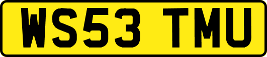 WS53TMU