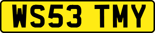 WS53TMY