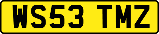 WS53TMZ