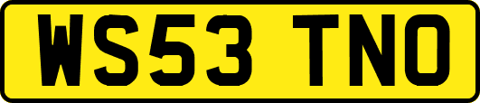 WS53TNO