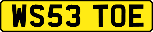 WS53TOE