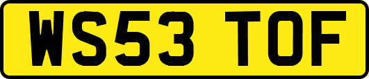 WS53TOF