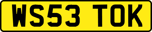 WS53TOK
