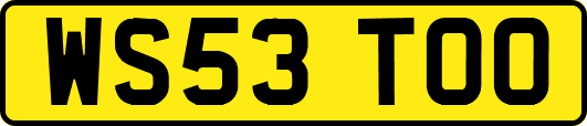WS53TOO