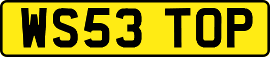 WS53TOP