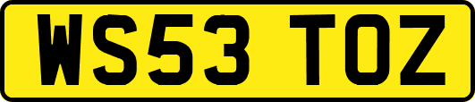 WS53TOZ