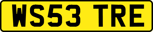 WS53TRE