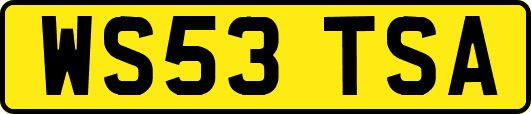 WS53TSA