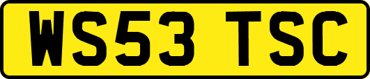 WS53TSC