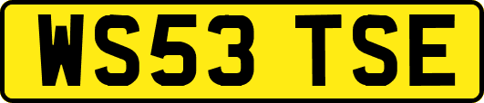 WS53TSE