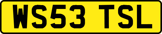 WS53TSL