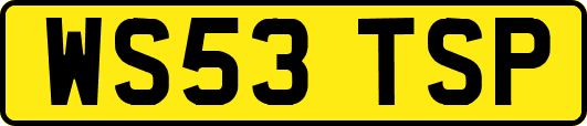 WS53TSP