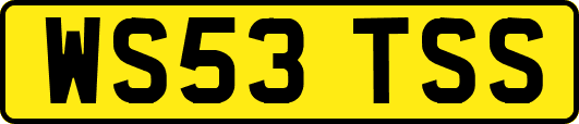 WS53TSS