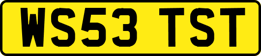 WS53TST