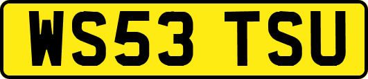 WS53TSU