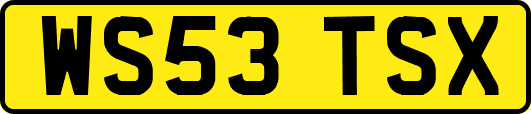 WS53TSX