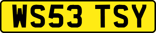 WS53TSY