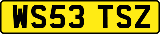 WS53TSZ