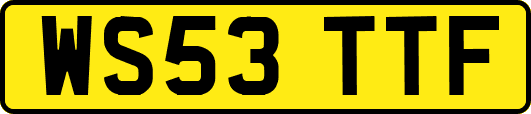 WS53TTF