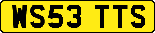 WS53TTS
