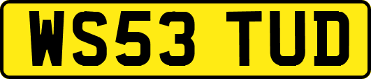 WS53TUD
