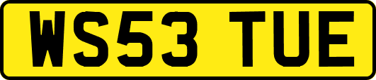 WS53TUE
