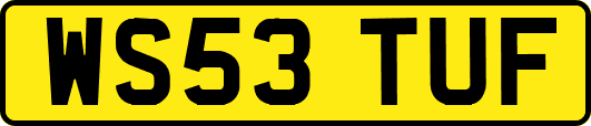 WS53TUF