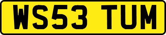 WS53TUM
