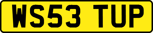 WS53TUP