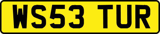 WS53TUR