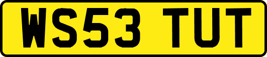 WS53TUT
