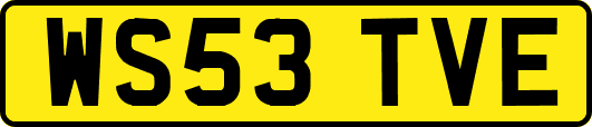 WS53TVE