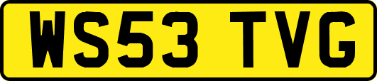 WS53TVG