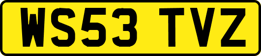 WS53TVZ