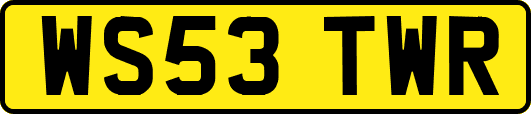 WS53TWR