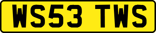 WS53TWS