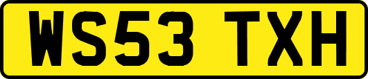 WS53TXH