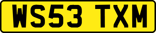 WS53TXM