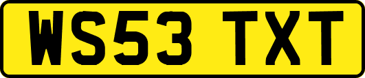 WS53TXT