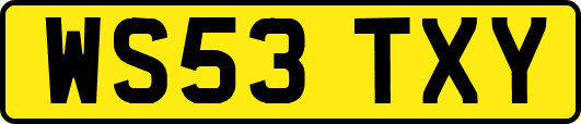 WS53TXY