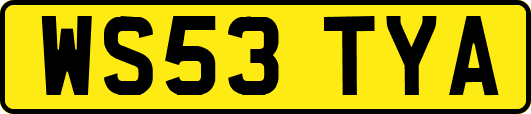 WS53TYA