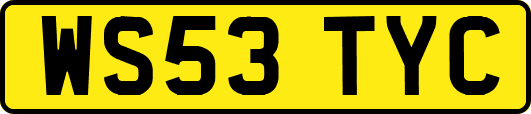 WS53TYC