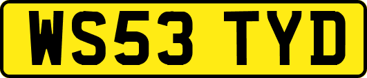 WS53TYD