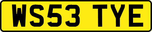WS53TYE